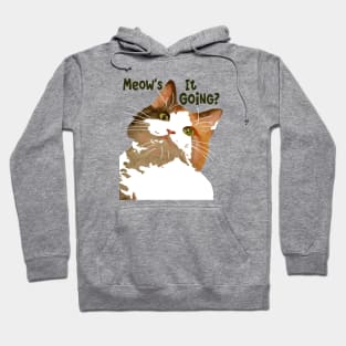 Meows It Going Fun Cat Meme Question Hoodie